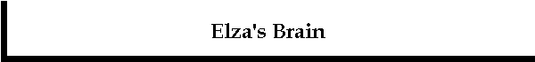 Elza's Brain