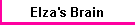 Elza's Brain
